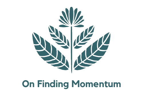 On Finding Momentum.